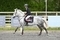 Jamie O’Hara and Future Lass Shine at Frenches Farm
